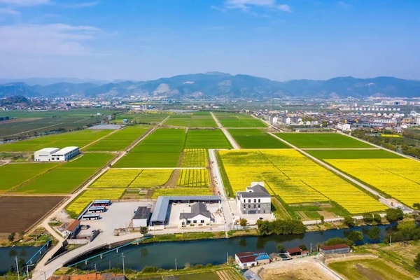 高標(biāo)準(zhǔn)農(nóng)田典型案例集錦丨“豐景”，在希望的田野