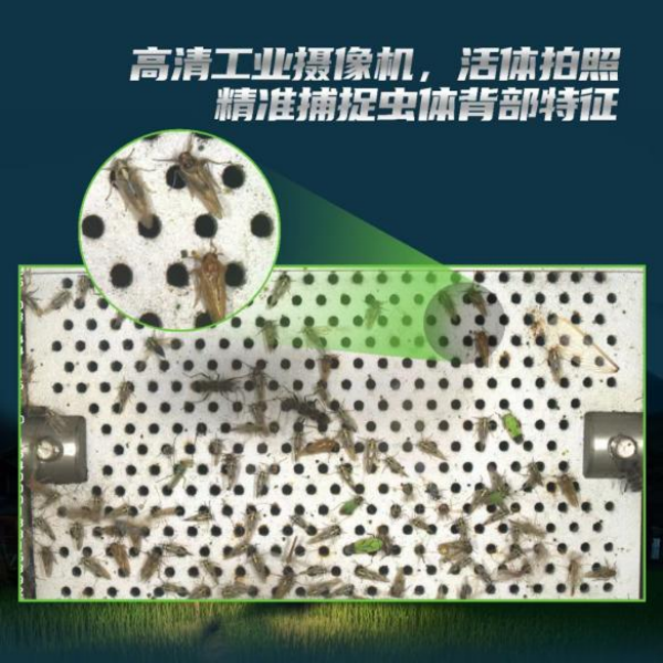 全面升級！托普云農(nóng)這樣防治“作物殺手”