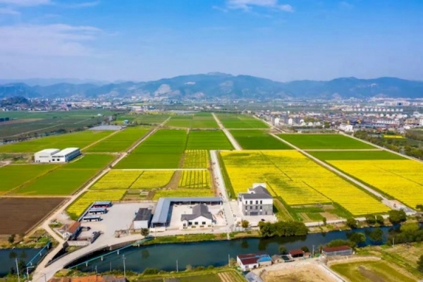 托普云農(nóng)高標(biāo)準(zhǔn)農(nóng)田建設(shè)答卷：用實踐書寫政策新篇