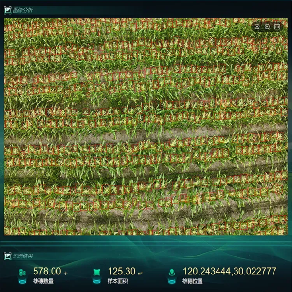 圖片6_副本.png